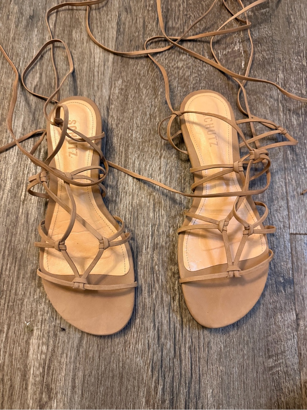 Schutz 9